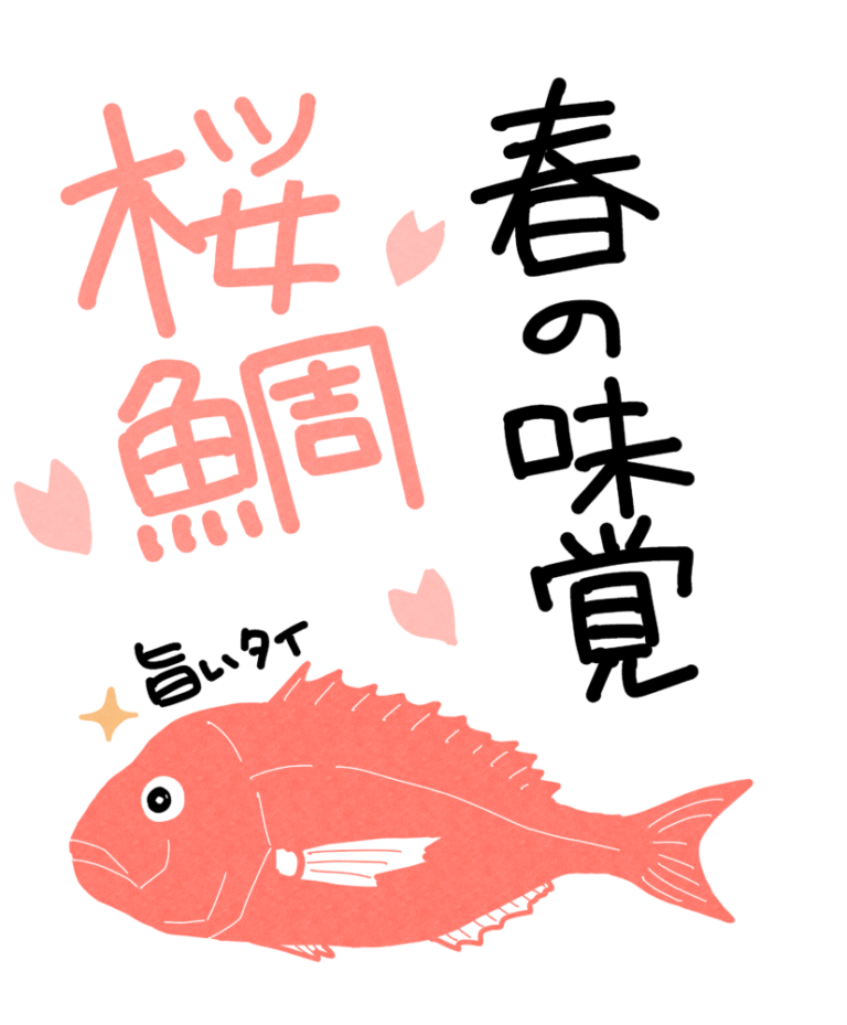 【真鯛】桜鯛のPOP【春の味覚】 おさかなPOP工房